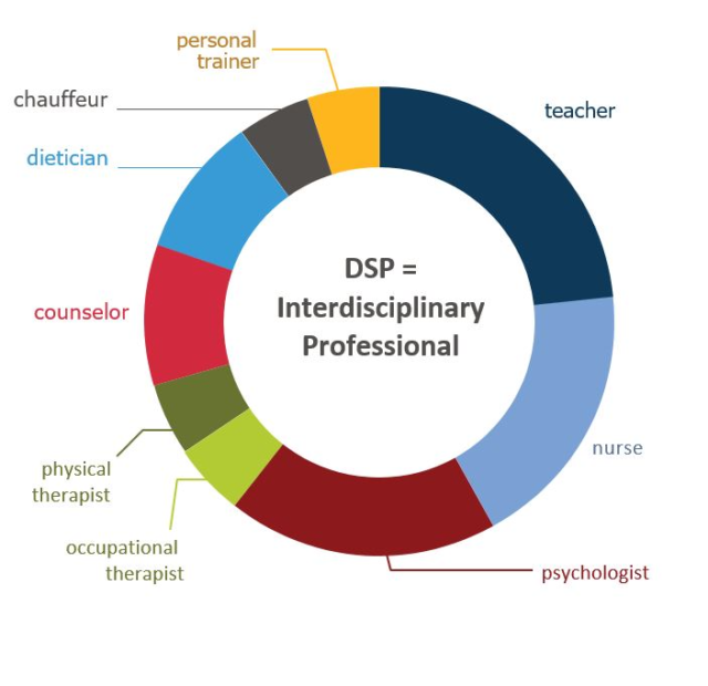 A pie chart breaking down all the roles of a DSP. In the center of the pie chart are the words DSP equals interdisciplinary professional. The pie chart is divided into segments with the 3 largest being teacher, nurse, and psychologist. The other segments are labeled personal trainer, chauffeur, dietician, counselor, physical therapist, and occupational therapist.
