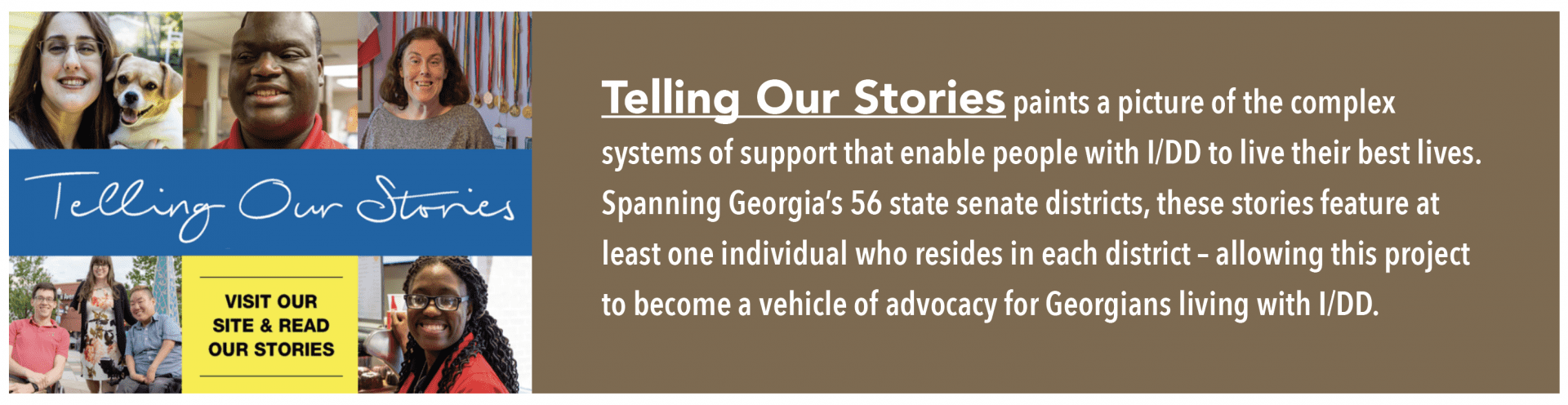 Link to Telling Our Stories Website