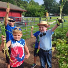 Campers at Camp All For One enjoy harvesting vegetables from the garden.