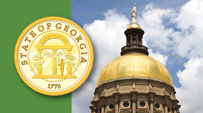 Green banner with a photo of the Georgia State Capitol on the right.